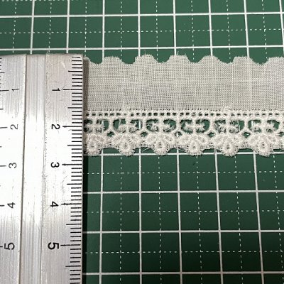 画像1: 【お買い得5点限り】刺繍のきれいな葉っぱ柄綿レース　オフホワイト　幅2.7cm　日本製　4m　